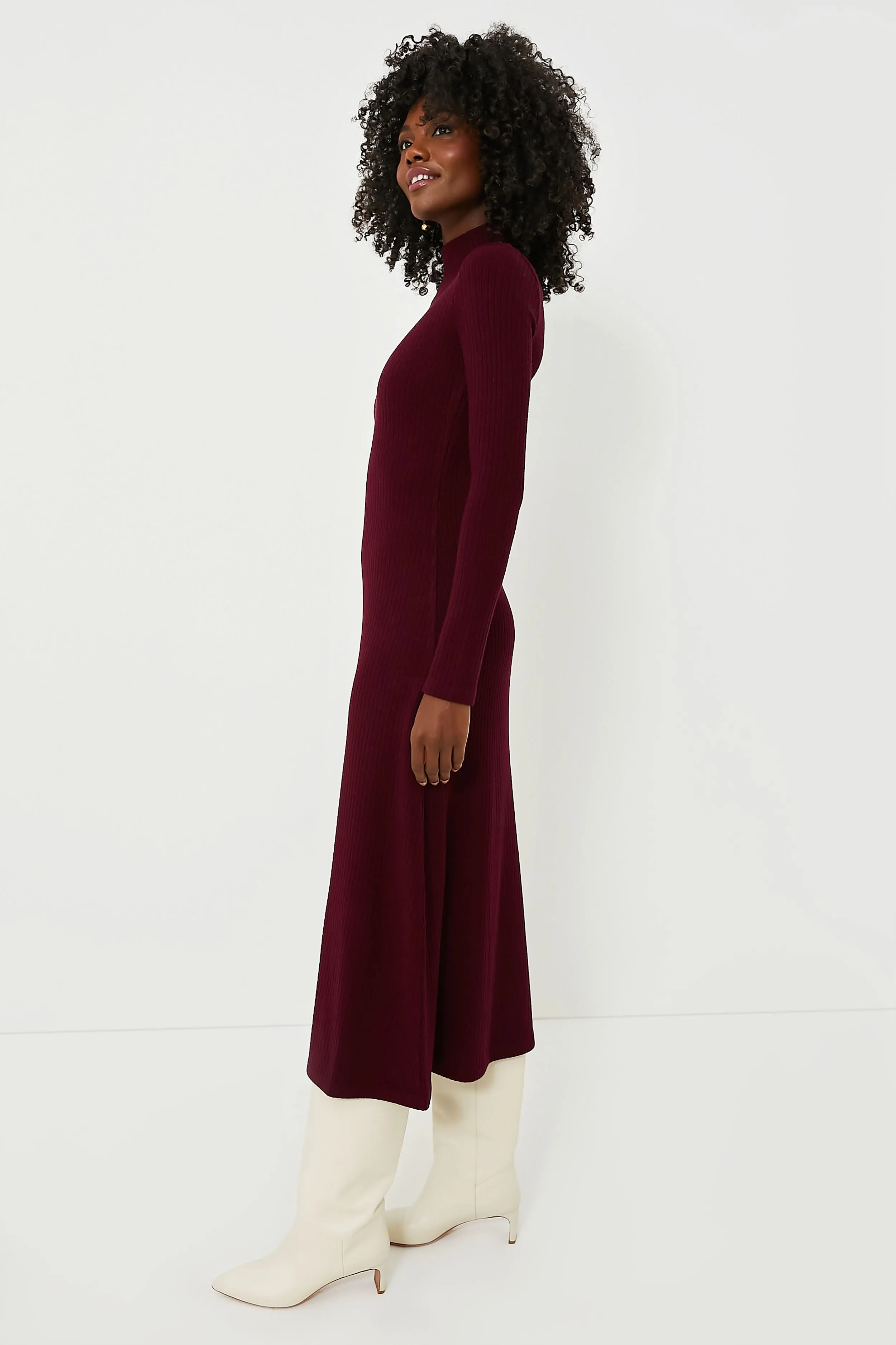 Cassis Long Sleeve Mock Neck Dress