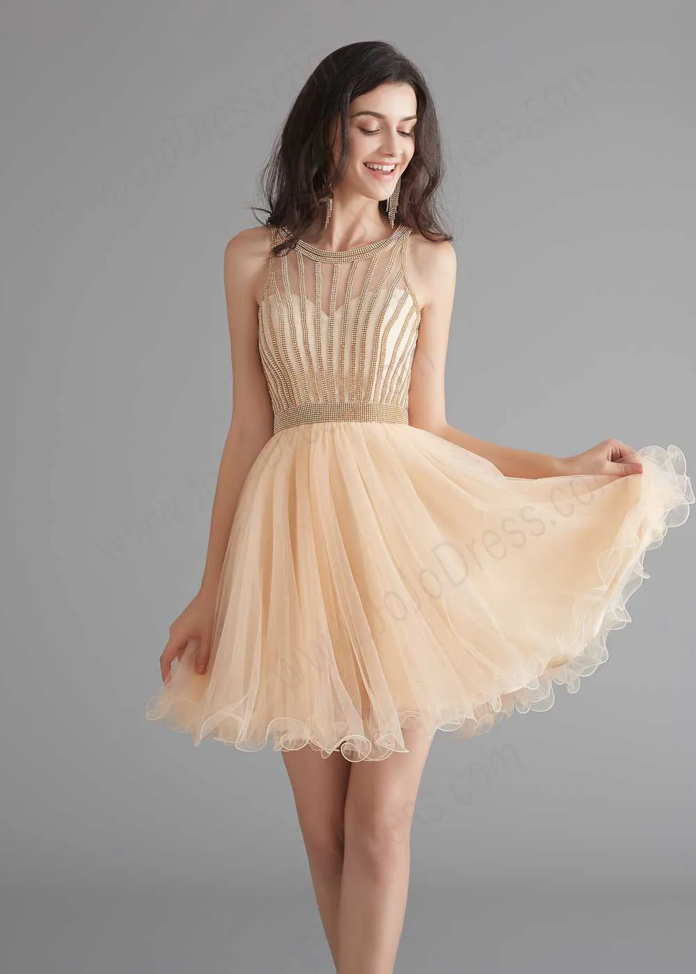 Chic Short Champagne Tulle Evening Dress