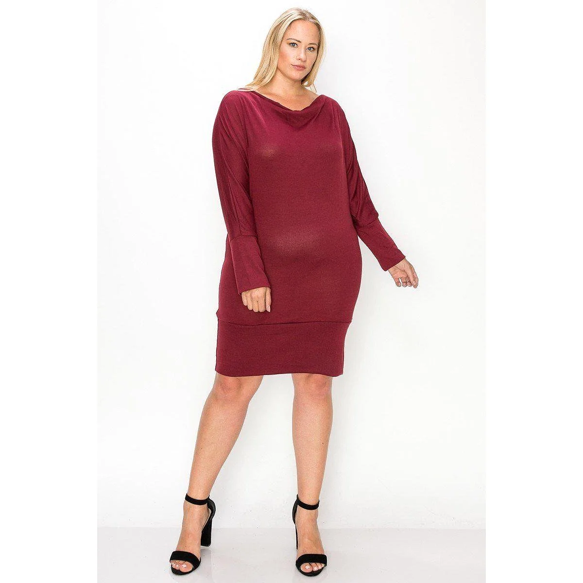 Draped Neck Long Sleeve Dress